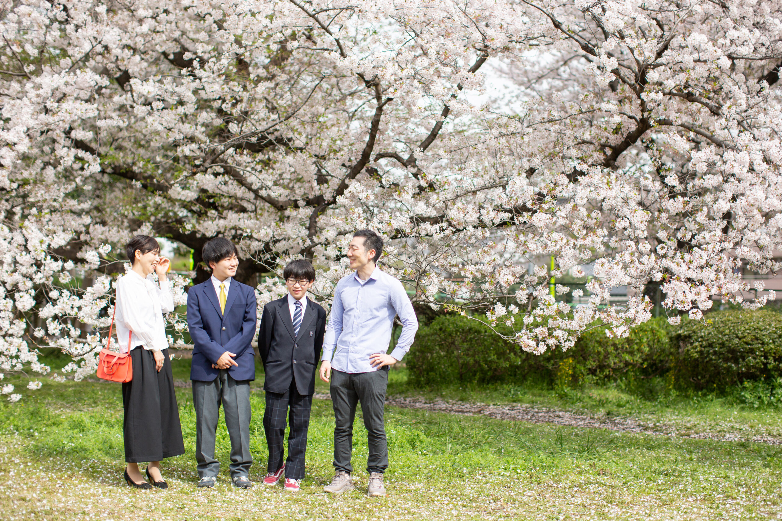 桜と歩く記念写真-M1