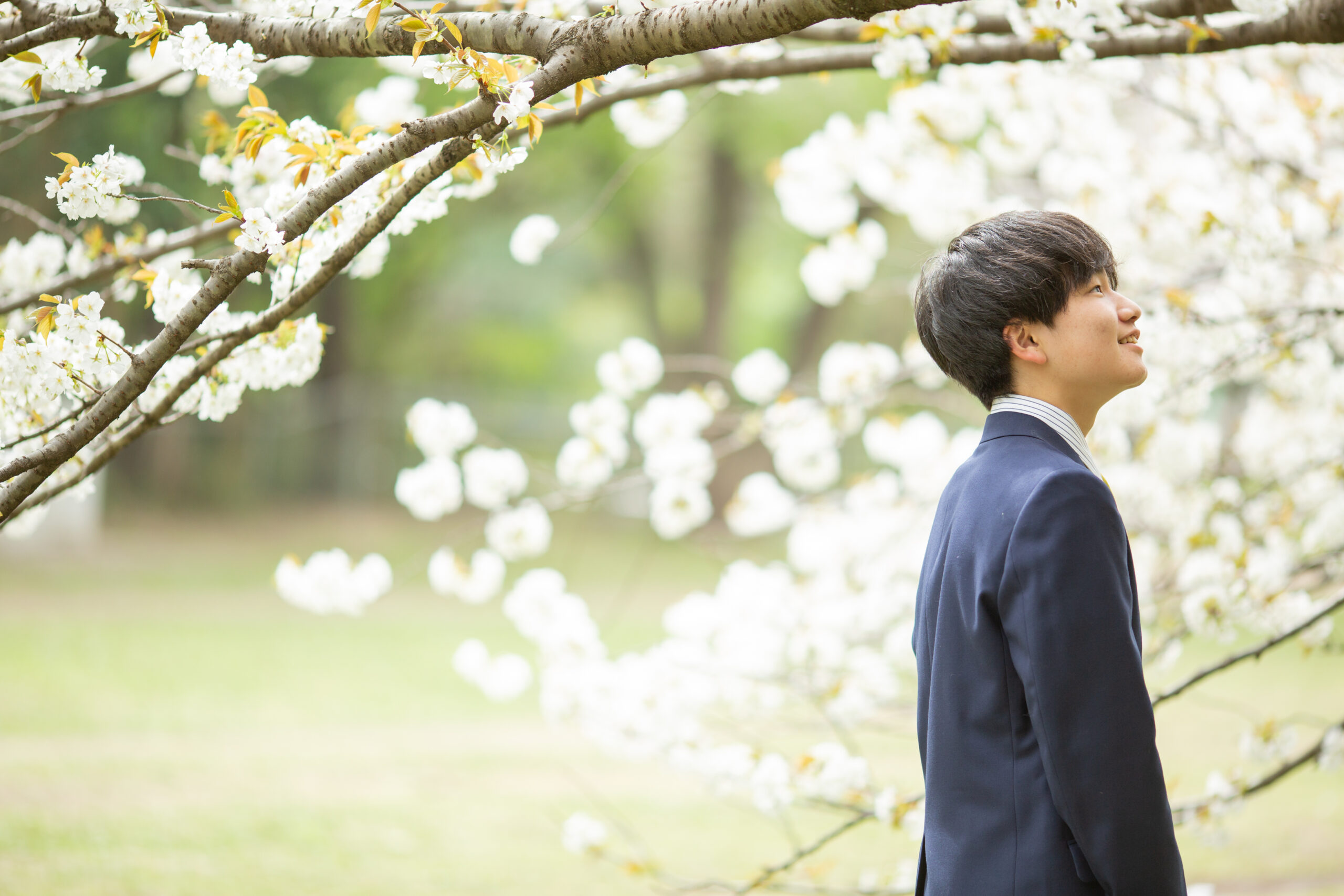 桜と歩く記念写真-M7